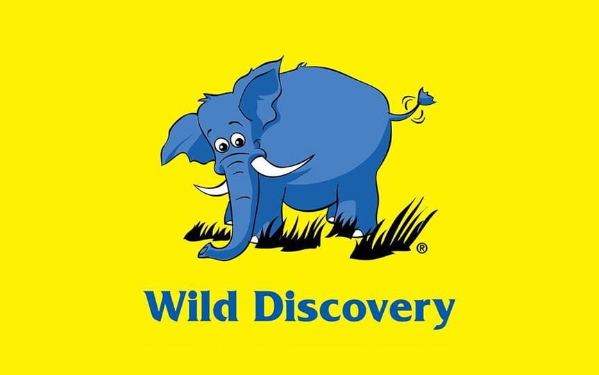 Wild Discovery Wedding Travel Agents, Lebanon BridaLeb